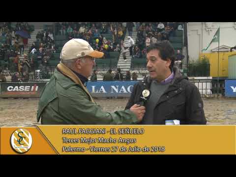 27-07-18 Nota Raúl Faggiani - Jura Macho Angus - Palermo