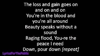 Skillet - Pour Lyrics