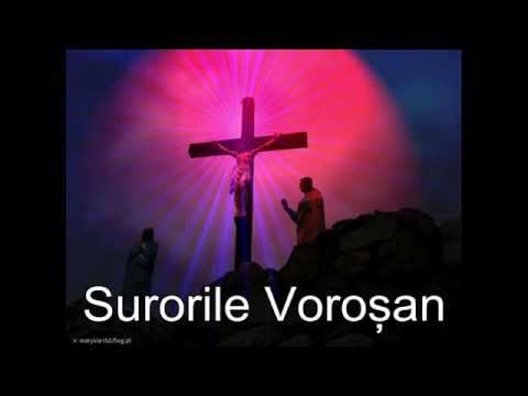 Surorile Voroșan - "Spinii" Vol.2