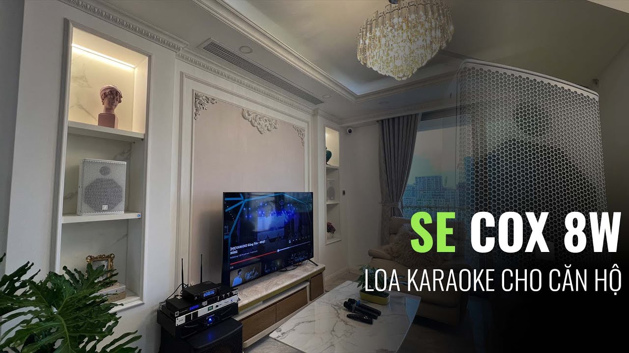 video Dàn Karaoke SE Audiotechnik Cox8 TVA372025 1