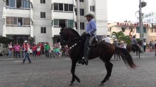 preview picture of video 'Cabalgata Cartagena 2015, Parte 2'