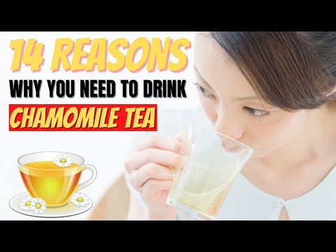 Chamomile Tea Benefits: 14 Amazing Health Benefits of Chamomile Tea