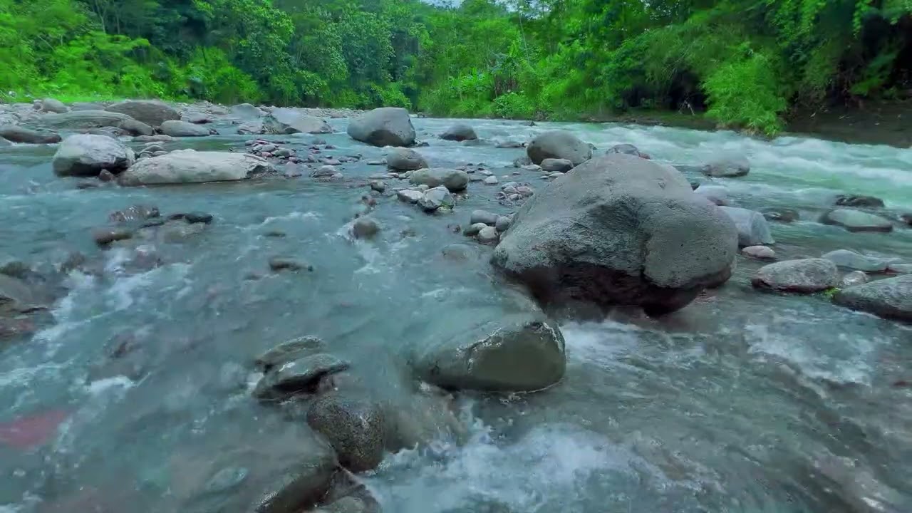 Relax with Fantastic River Sounds for Studying, Working, Sleeping, Relaxing [ASMR]