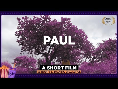 Hardik Manmode 'PAUL' Platinum Film Of the Year in Professional category at India Film Project