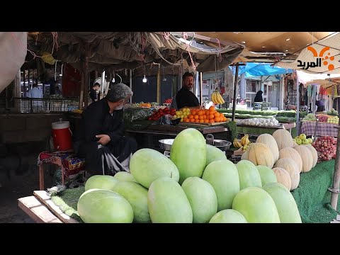 شاهد بالفيديو.. آراء مختلفة حول أسعار الخضروات في البصرة..#المربد