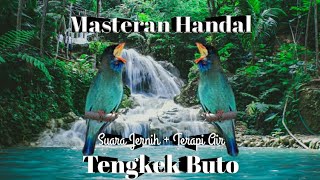 Download lagu Masteran Tengkek Buto | Suara Jernih   Terapi Air mp3