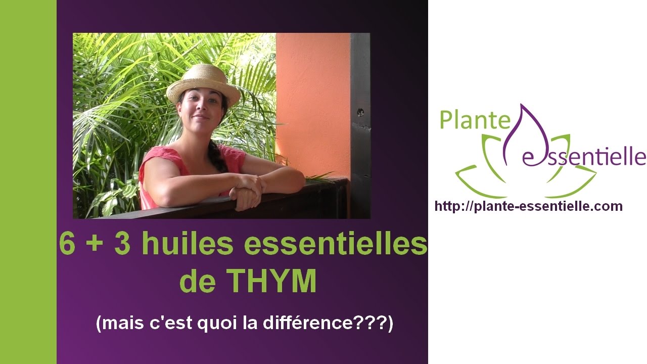 Huile essentielle thym (linalol, thujanol, thymol...)