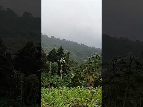 saludos desde pueblo nuevo Suchitepéquez Guatemala