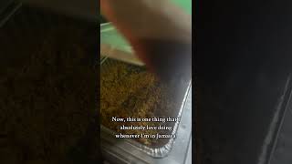 TRYING A LOCAL RESTAURANT IN KINGSTON, JAMAICA 🇯🇲 #jamaica #jamaicanfood #kingston #food #foodies