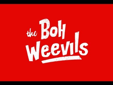 The Boh Weevils - So Damn Mad  - Live at New GRounds York PA