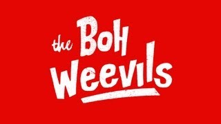 The Boh Weevils - So Damn Mad  - Live at New GRounds York PA