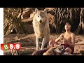 The Jungle Book Movie 2016 Explained In Hindi Urdu