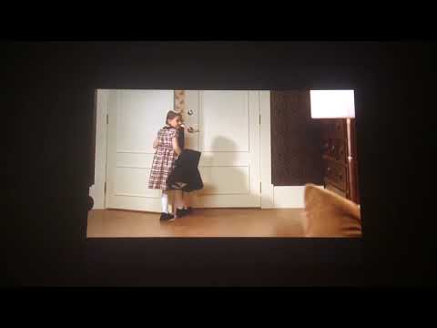 Chestnut hero of Central Park movie