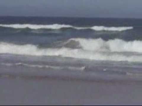 arshia in beach.wmv