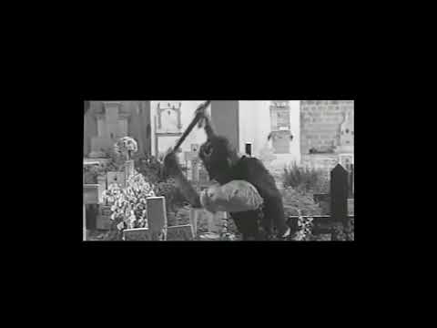 video frame placeholder