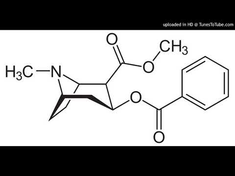 DJ Tom-X vs. Warmduscher - Cocaine 2k9 (Dizmaster Remix)