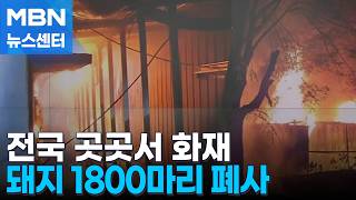 양돈장 화재로 돼지 1,800마리 폐사…경기 하남 컨테이너 화재로 40대 남성 사망 [MBN 뉴스센터]