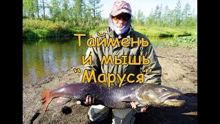 Искусственные мыши для рыбалки
