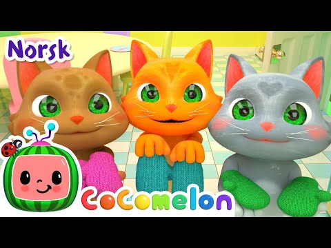 Tre små katter | Vuggesanger for Babyer | CoComelon Norsk