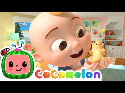 Class Pet Sleepover Fun! | CoComelon Animal Time | Animal Nursery Rhymes