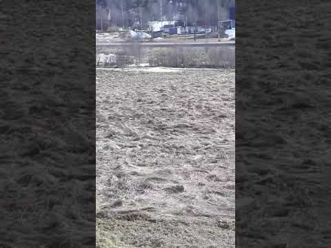 Tuvor och buskar ryker nu!