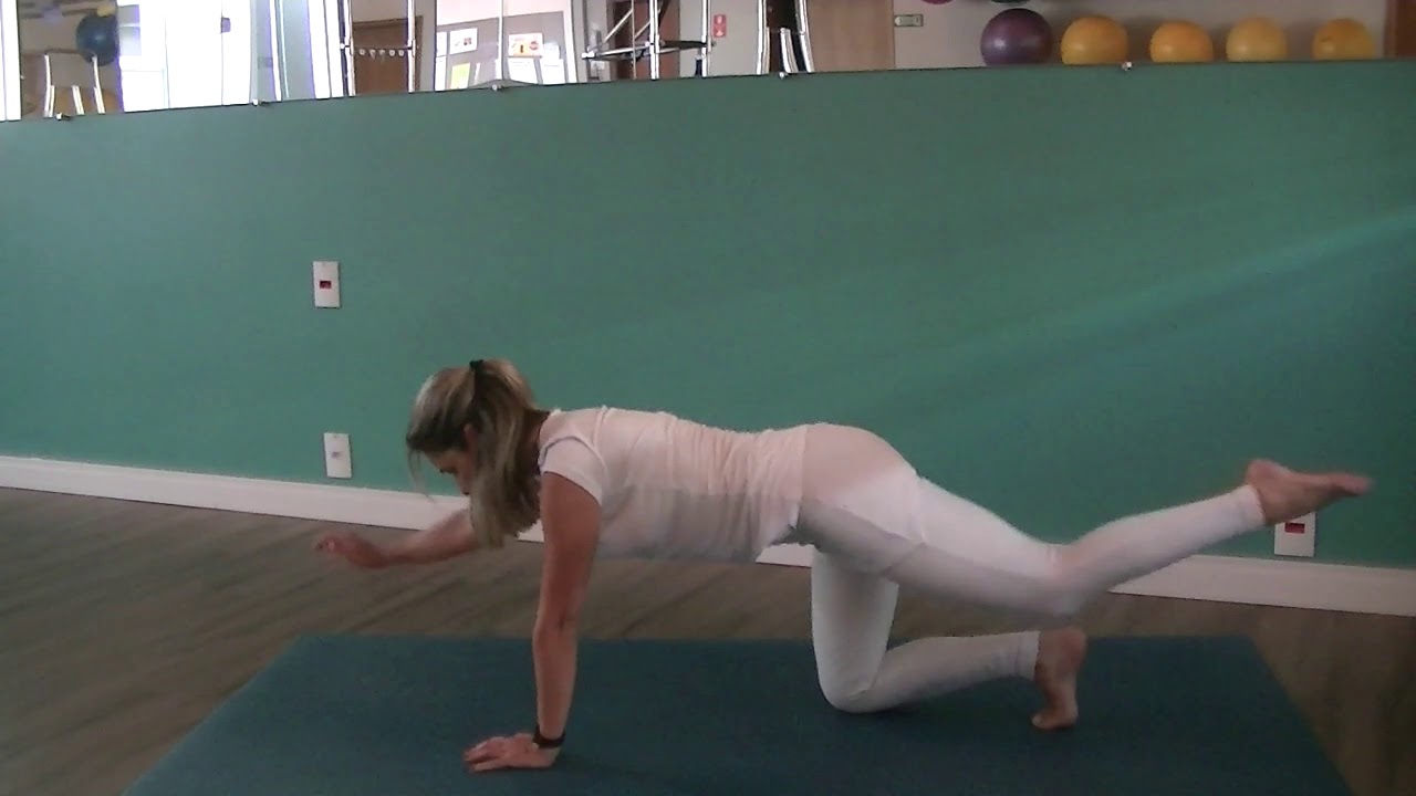 Mobilidade de coluna & alongamento