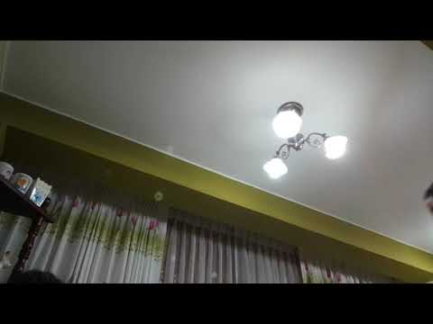 "Camaroncito Del Río"