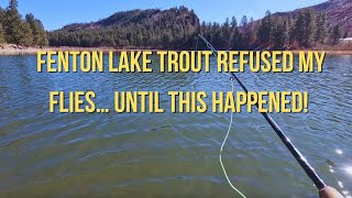 Fenton Lake Trout REFUSED My Flies… Until This Happened! , .#rainbowtrout #flyfishing