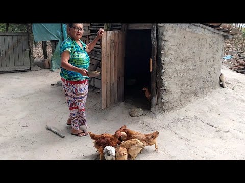 Conheça dona Nilza / Canhotinho PE  