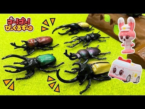 【カブトムシ・クワガタ】びーくるずーのみんなと昆虫の名前を覚えよう！｜びーくるずー｜アニア｜ごっこ遊び｜【トミカ・プラレール・アニア】