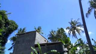 Download lagu Suara panggil walet Sonjet by Chens Fukis Oleh Firman Rahman mp3