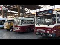 Historische bussen in Utrecht: 'Belangrijk om de herinnering levend te houden' [RTV Utrecht]