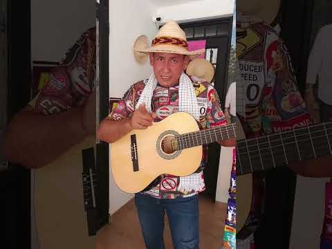 fiestas en venadillo tolima