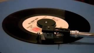 Rape Is Alright - The Transgender Lites (2016) Guubu Records