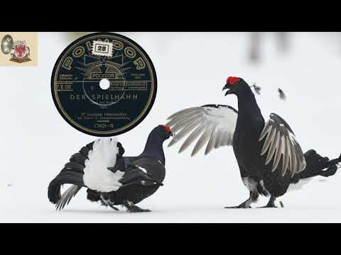 DER SPIELHAHN - D' lustigen Oberlandler (Brüder Baldauf)