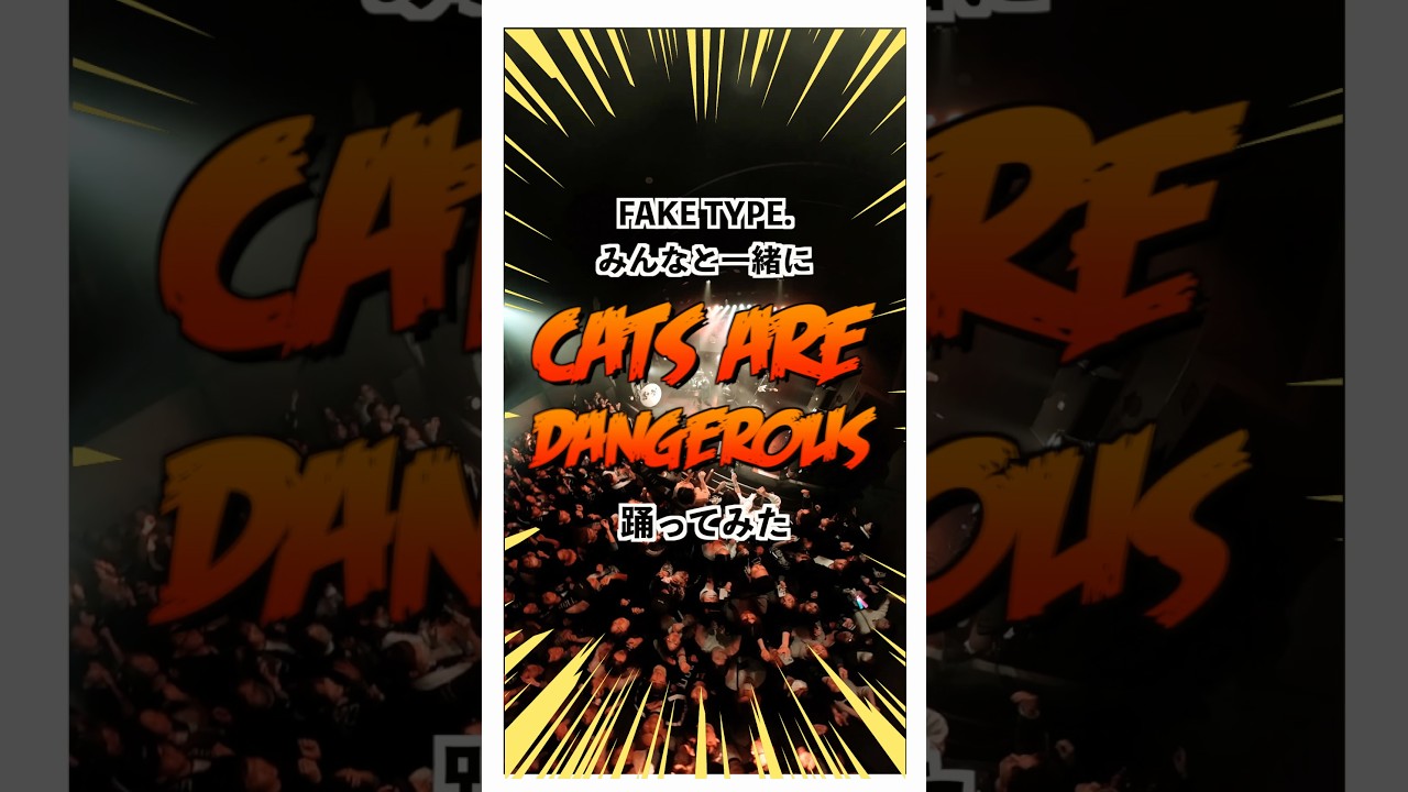 Cats are dangerous をみんなと踊ってみた🐈‼️ #FAKETYPE #copycats #踊ってみた