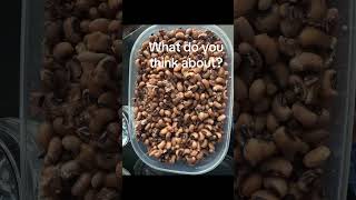 Download lagu #food #id Obamedo mp3