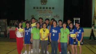 The Blue Stallions a k a  Blue Crocodiles!