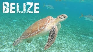 A DAY IN CAYE CAULKER - BELIZE