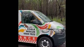 Fire ground search and rescue success 🐨💚🙌