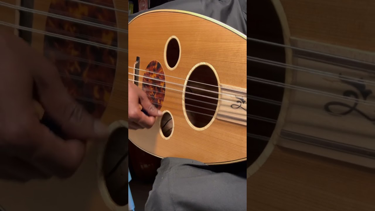 عود زرياب كهربائي موديل عراقي رقم 8