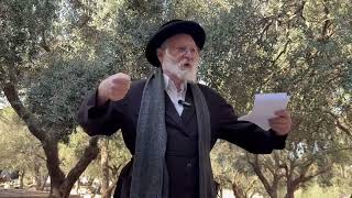 מלוכה במשפט התורה | הרב דניאל סטבסקי (ישיבת הר הבית) - התמונה מוצגת ישירות מתוך אתר האינטרנט יוטיוב. זכויות היוצרים בתמונה שייכות ליוצרה. קישור קרדיט למקור התוכן נמצא בתוך דף הסרטון