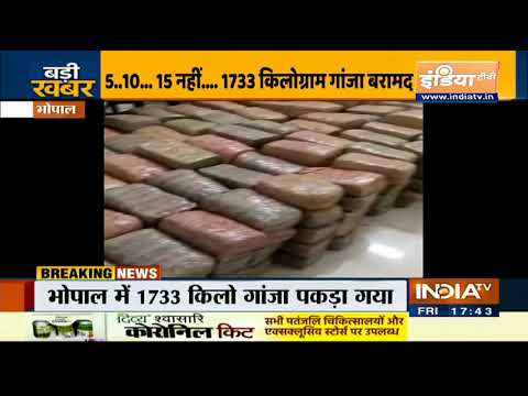 MP: भोपाल में 1733 किलो गांजा पकड़ा गया, कार्रवाई में एक आरोपी गिरफ्तार