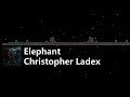 Elephant - song and lyrics by Christopher Ladex
