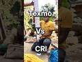 Texmo Vs CRI Submersible Shorts
