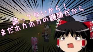 【Minecraft】ゲリラと過ごす村作り8日目【ゆっくり実況】