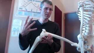 preview picture of video 'Asheville Chiropractor discusses Knee Pain, What's Above and Below!'