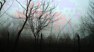 Modest Mouse - Ansel