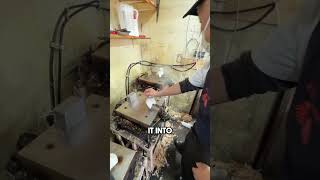 How This Shrimp Turns into a Fossil Delicacy 😭