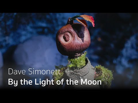 Dave Simonett - By the Light of the Moon (Official Video)
